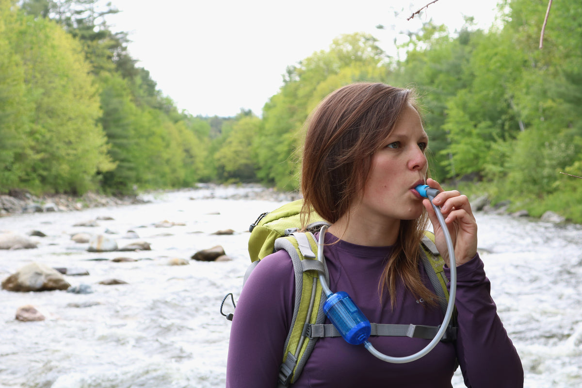 RapidPure Scout Inline Purifier