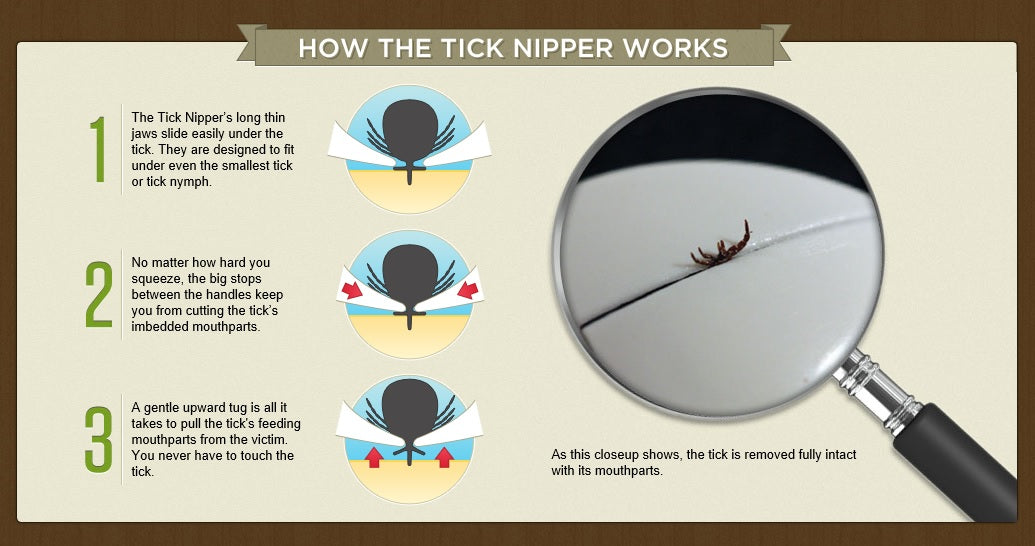Tick Nipper